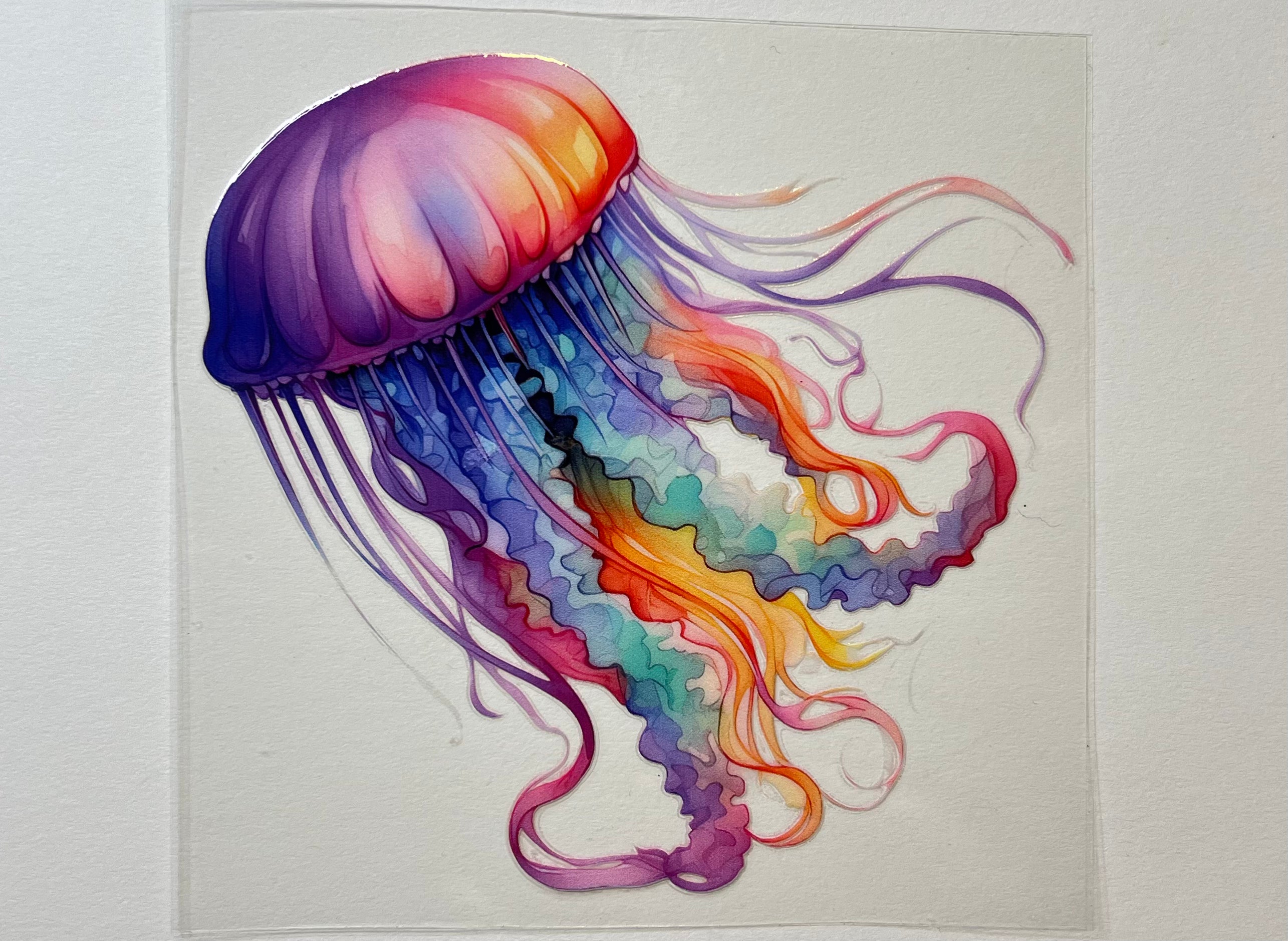 Under the sea - Rainbow Jelly